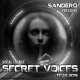 Sandero-Secret-Voices-52