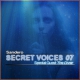 Secret-Voices-07_cover