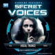 Secret-Voices-33_(Richiere_Edition)-cover